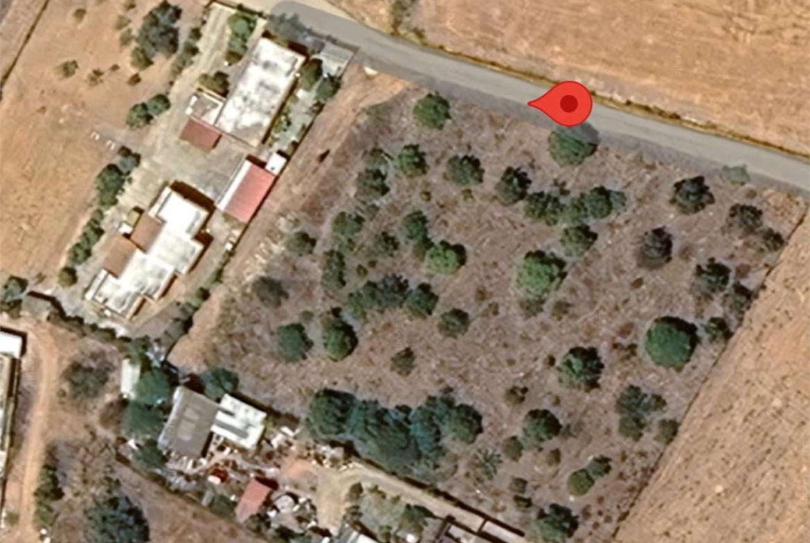 TERRENO AGRICOLO