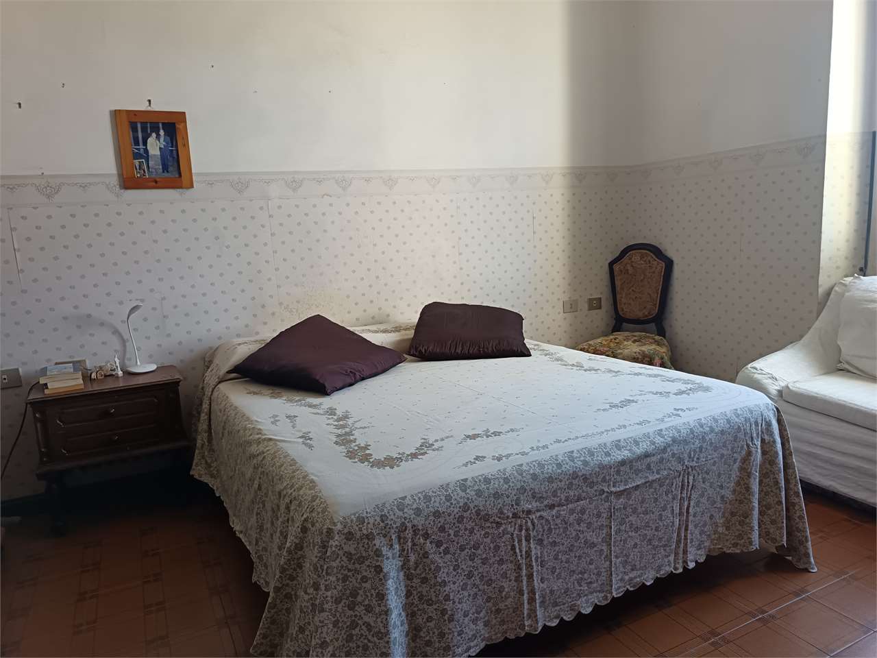 imm_1896-20261019124143-1280- Luminoso quadrivano